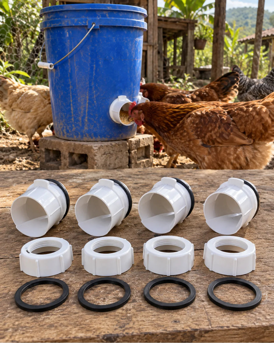 Kit x4 Comederos para Aves en uso cotidiano
