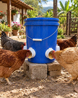 Kit x4 Comederos para Aves — resultado esperado