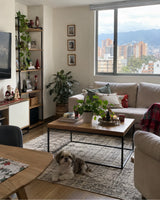 Cortina Navideña Decorativa — necesidad que resuelve